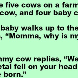 Five Cows On A Farm