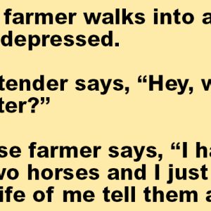 A Farmer Walks Into A Bar.