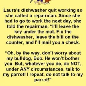 She Left Instructions For The Repairman But He Decided Not To Listen