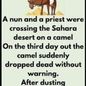 A nun and a priest were crossing the Sahara Desert on a camel…