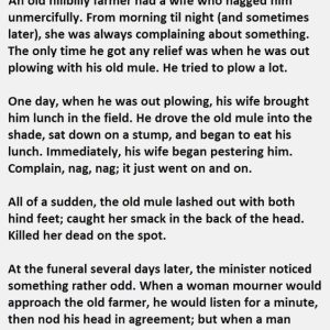 Farmer-does-something-very-strange-at-his-wifes-funeral-joke-1