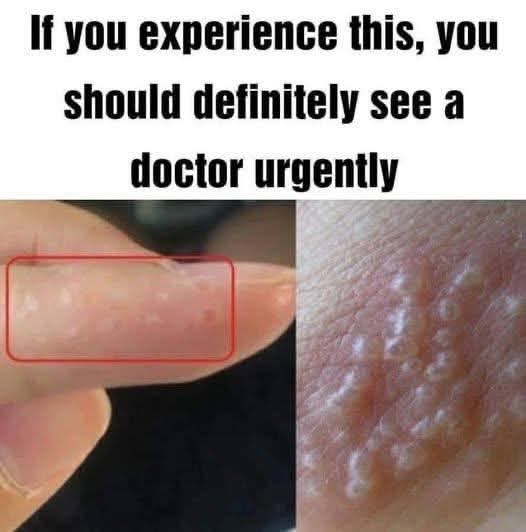 FB_IMG_1753827346641