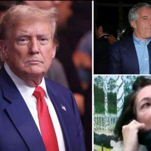 The White House blasted a top Democratic leader for defending Delegate Stacey Plaskett after her past messages with Jeffrey Epstein FB_IMG_1763746214838