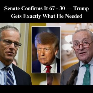 597945287_1423739079113492_7034395368601670927_n