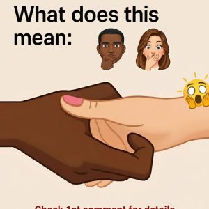 601805928_1446980733663877_106240268753599864_n