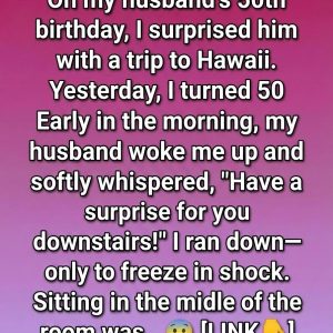 605653413_122237993636104018_2014209452869411380_n