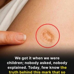 613019983_1182299824118809_874724549350982161_n