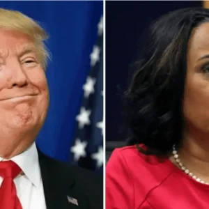 Screenshot-2025-04-10-094330-1024×543-1