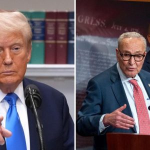 Trump-Schumer-2