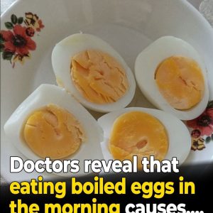 624731290_1314783640684036_8579722104321362679_n