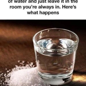 628058866_1318525920309808_8025007439362616066_n