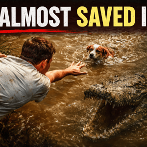 88b905ea-a248-4271-b371-1bc1c16ebb3f