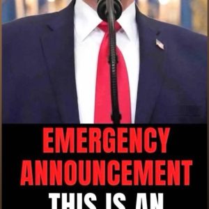 660802101_122274491216119723_2075501771581425853_n