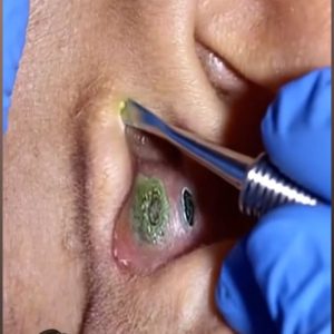 671174278_1386311680201198_6667537933999477901_n